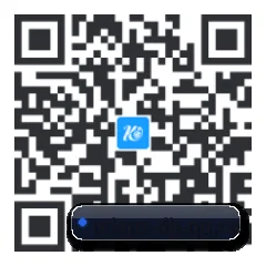 系统版 iOS 二维码